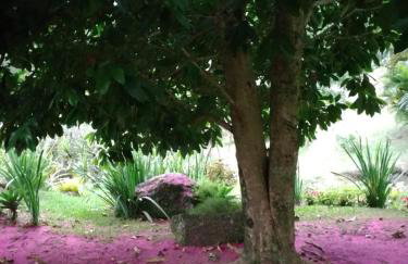 Quinta da Pedra do Elefante - Foto 70