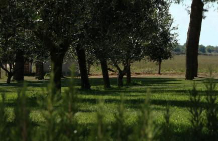 Agriturismo Piani Della Marina - Foto 33