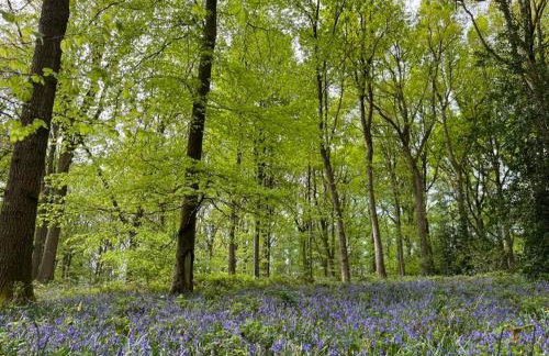 Bluebell Cottage - Foto 16