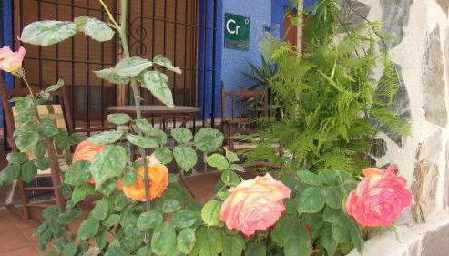 Casa Rural Mi Campo - Foto 2, Garden