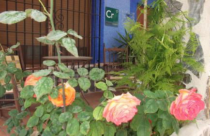 Casa Rural Mi Campo - Foto 2