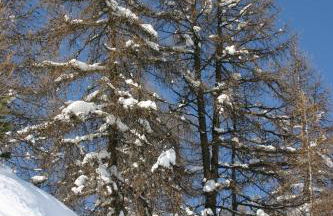 Madame Vacances Lodges des Alpages - Foto 17