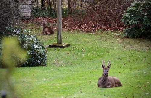 The Cabin at The Oaks - Foto 4