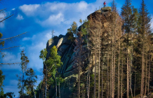Apartment in Harz Near Brocken Railway - Foto 27