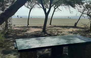 Deisy Atlantic - Foto 26