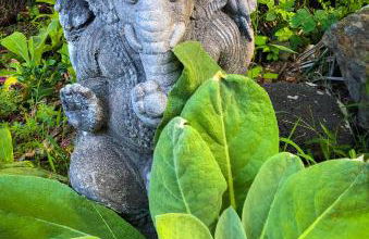 Gingerhill Farm Retreat - Foto 50