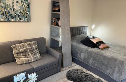 Alice Apartment Wackernheim - Foto 6