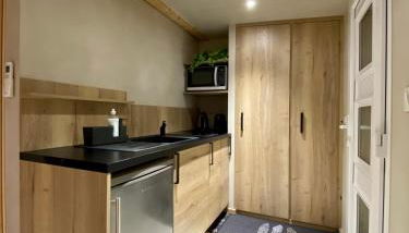 LE STUDIO,Superbe appartement meublé avec terrasse - Foto 5, stove, minibar