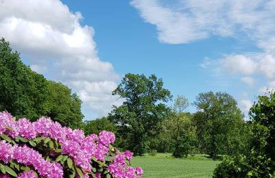 Ferienwohnungen Warnken - Foto 39