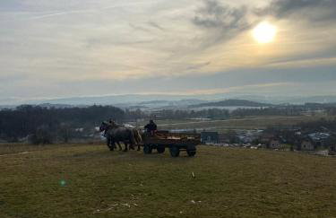 Domki Osada Bożków z jacuzzi - Foto 6