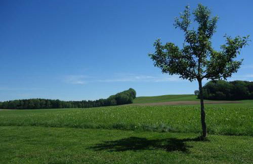 Ferienwohnung Katzheim - Photo 6