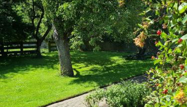 Ferienhof Bisdorf "Schwülkennest" Reihenhaus - Foto 2