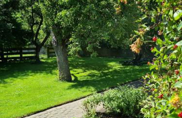 Ferienhof Bisdorf "Schwülkennest" Reihenhaus - Photo 2