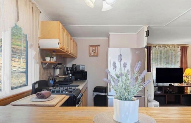 Pocono private retreat - Foto 4