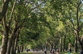 Tranquil & Bright by The Canal - Foto 32