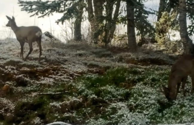 Holiday Home in FrillesÃ¥s - Foto 50