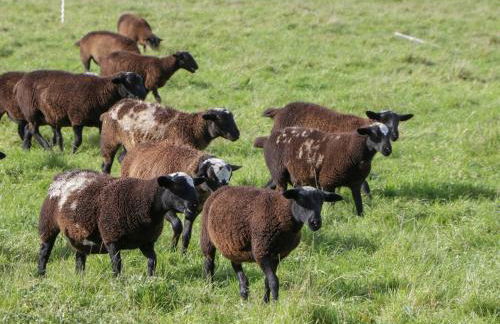 Doubletree Cottage - Foto 22