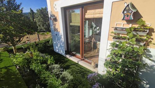 Suite Curry - Photo 2, Garden