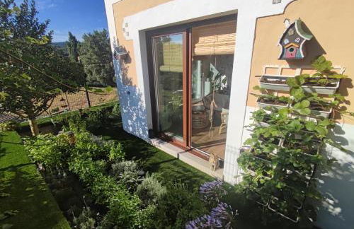 Suite Curry - Photo 9