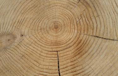 North Beer Lodge - Foto 30