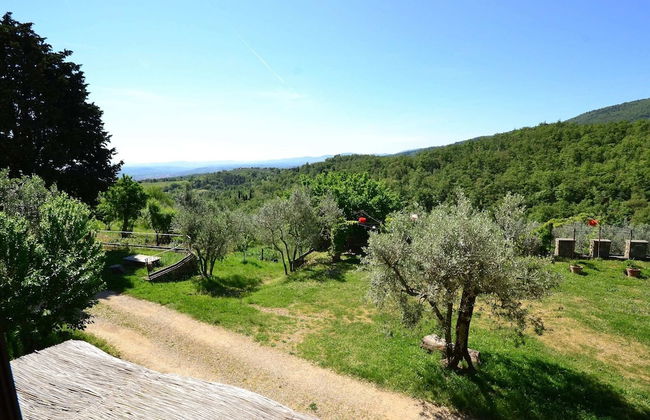 Lovely Estate not far From Florence With Olives Trees - Foto 74