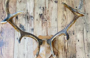 Apartamenty Piwniczna - Foto 38