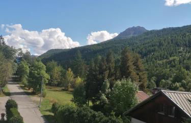 LES MOULINS DE LA GUISANE - Photo 11