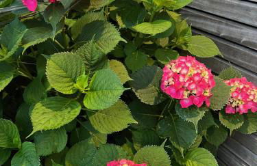 Apartment Cap Ostrea - Foto 53