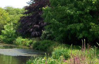 Polgwedhen Lodge - Photo 29