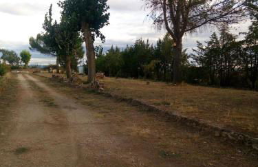 Los Tobares - Foto 37