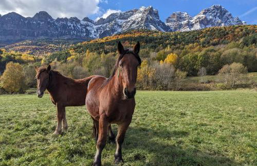 Nornore: una casa especial en la montaña - Photo 69