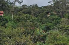 Lindo Chalé Suiço em Mulungu - Foto 40