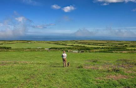 The Little Barn - Near St Ives Beaches & Walks, Dog Friendly - Foto 21
