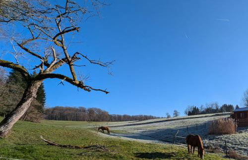 Chalet détente avec spa et sauna près des 1000 Étangs - FR-1-583-468 - Foto 16