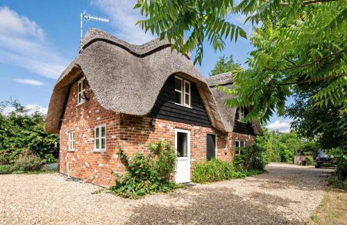 Charming thatched cottage near New Forest - Foto 19