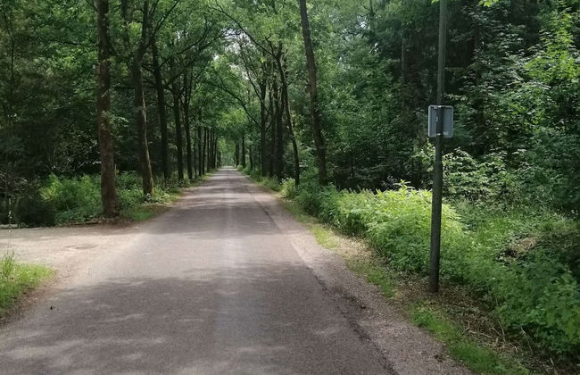 Alluring Holiday Home in Erp Near Forest - Photo 38