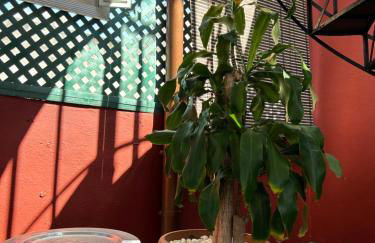 DREAM WISH - Foto 23