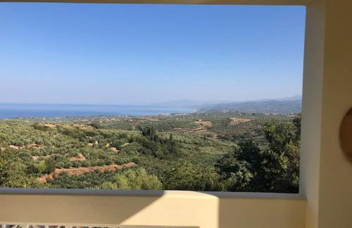 Kyparissia De Wandelboom - Foto 29