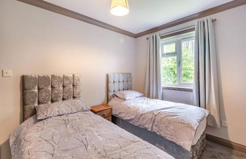 Mallard - Uk41033 - Foto 9