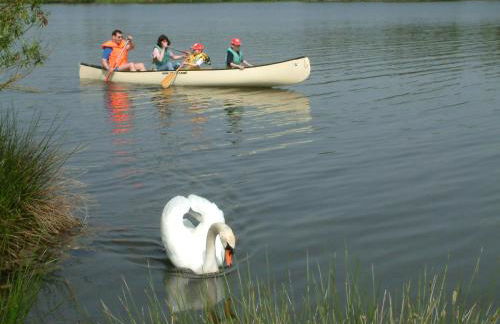 Ferienwohnungen Ströhlein - Foto 20