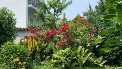 WatzMannOG - Foto 2, Garden, Garden view