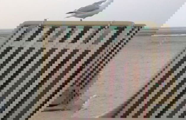 Holiday Home Roseneck - Foto 24