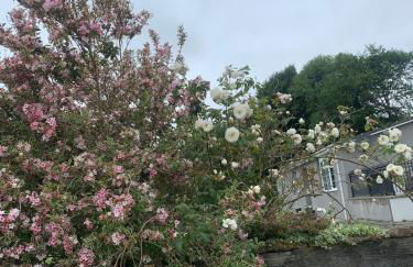 Half Pint Cottage - Foto 22