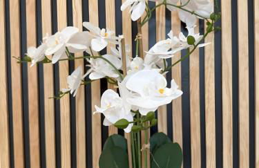 Maison au cœur d’Orgelet - Foto 6