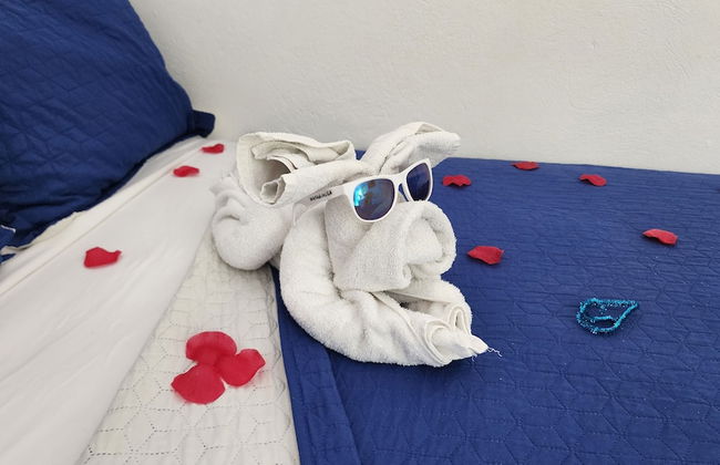 Caribbean Dream Vacation Property - Foto 64