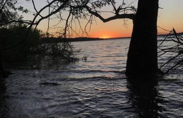 Cozy Cottage • 2 King Beds • Grove • Kayaks • Washer/Dryer - Foto 21