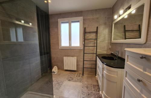 Grande Maison au Bord d'un Lac avec Spa, Jardin Clôturé et Proche du ZooParc de Beauval - FR-1-591-336 - Foto 26