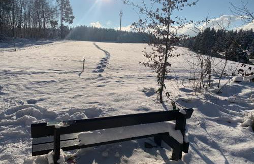Tolle Ferienwohnung mit Loggia in Schauenstein 100qm bei Hof an der Saale Frankenwald - Foto 71