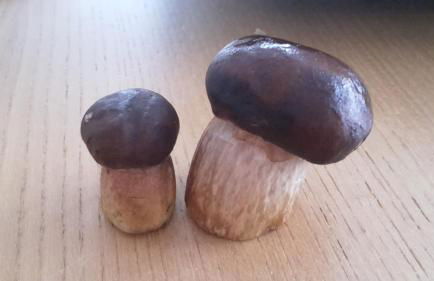 Villa Duck-Dich-Südheide - Photo 15