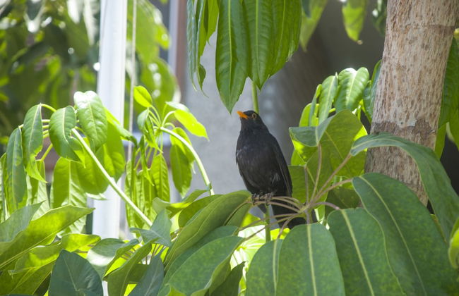 Apartamentos El Paseo - Foto 75